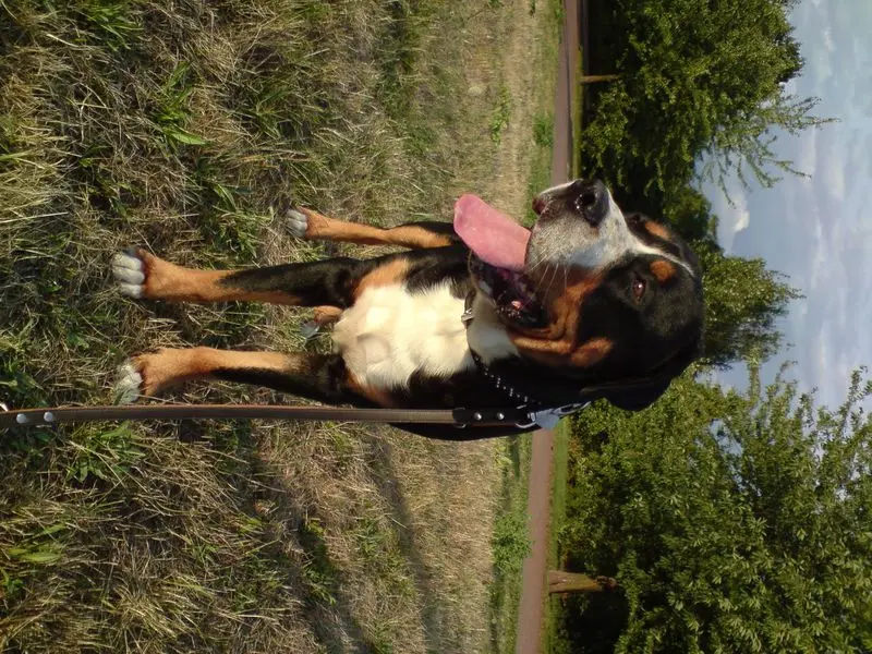 Andachtsbild von Aaron und Arrax