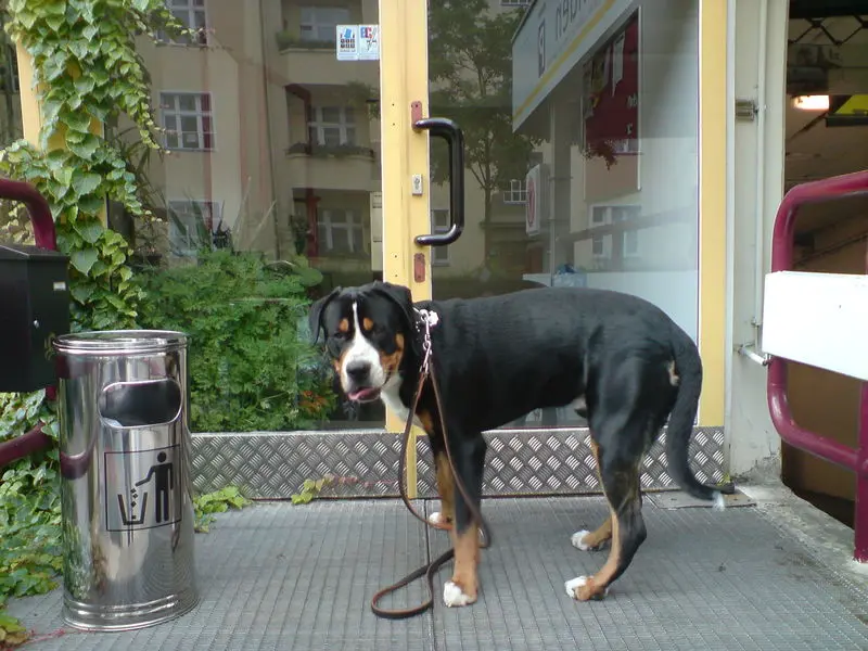 Andachtsbild von Aaron und Arrax