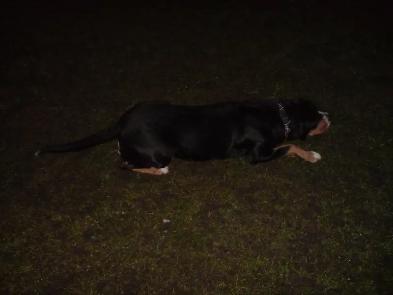 Andachtsbild von Aaron und Arrax