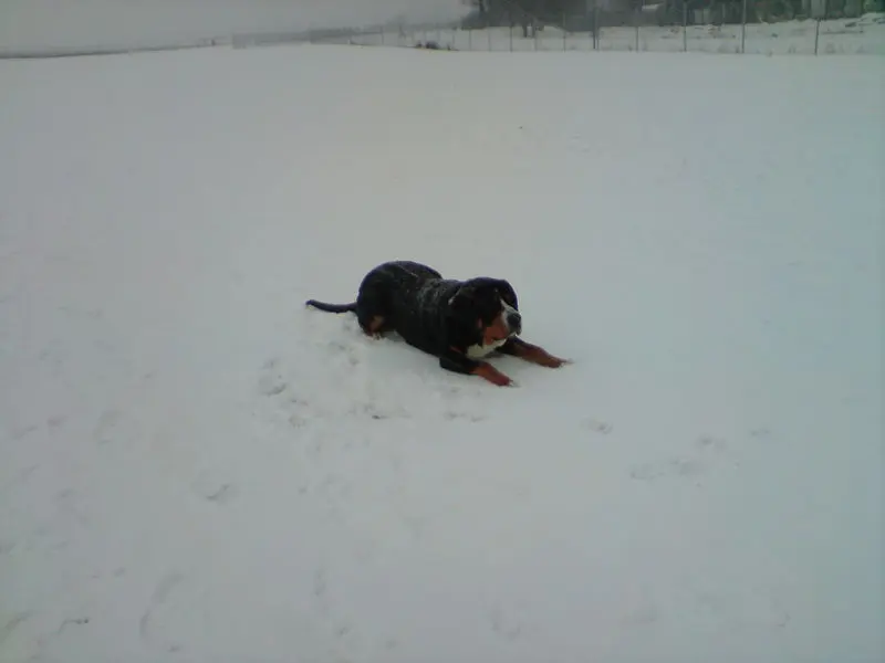 Andachtsbild von Aaron und Arrax