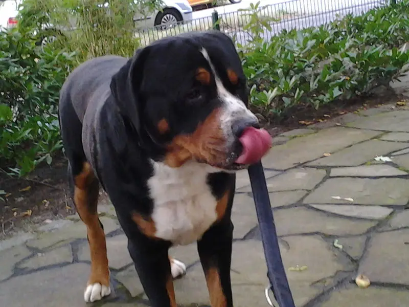 Andachtsbild von Aaron und Arrax