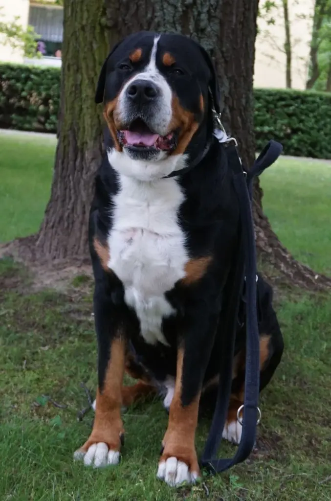 Andachtsbild von Aaron und Arrax