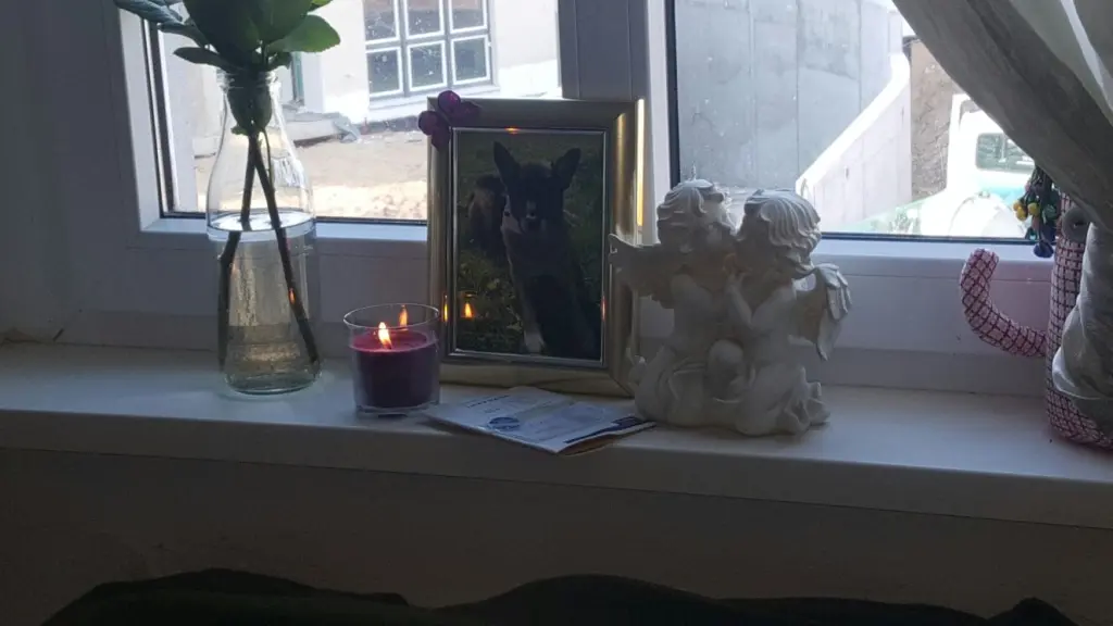 Condolence image of Frauchen