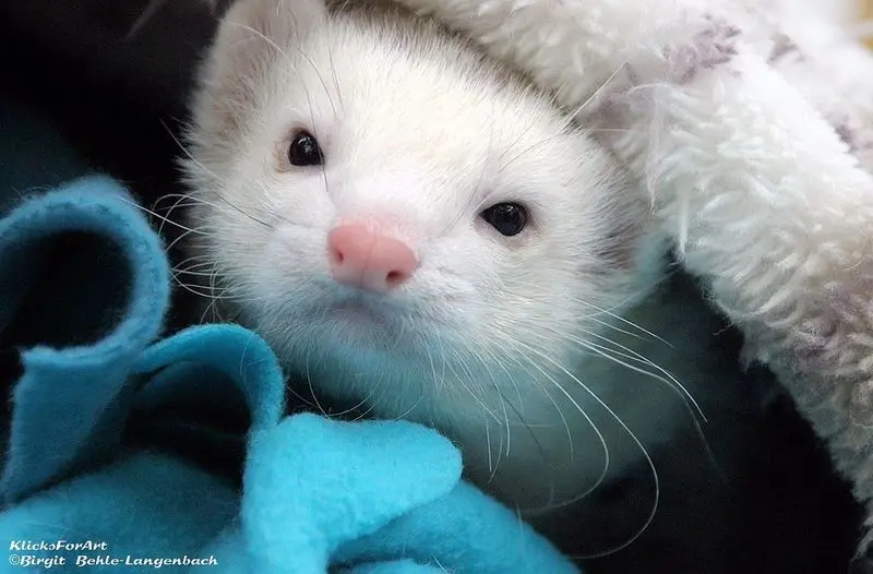 Andachtsbild von Ina Paco 