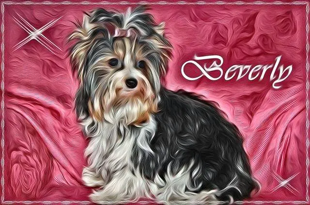 Image from Beverly