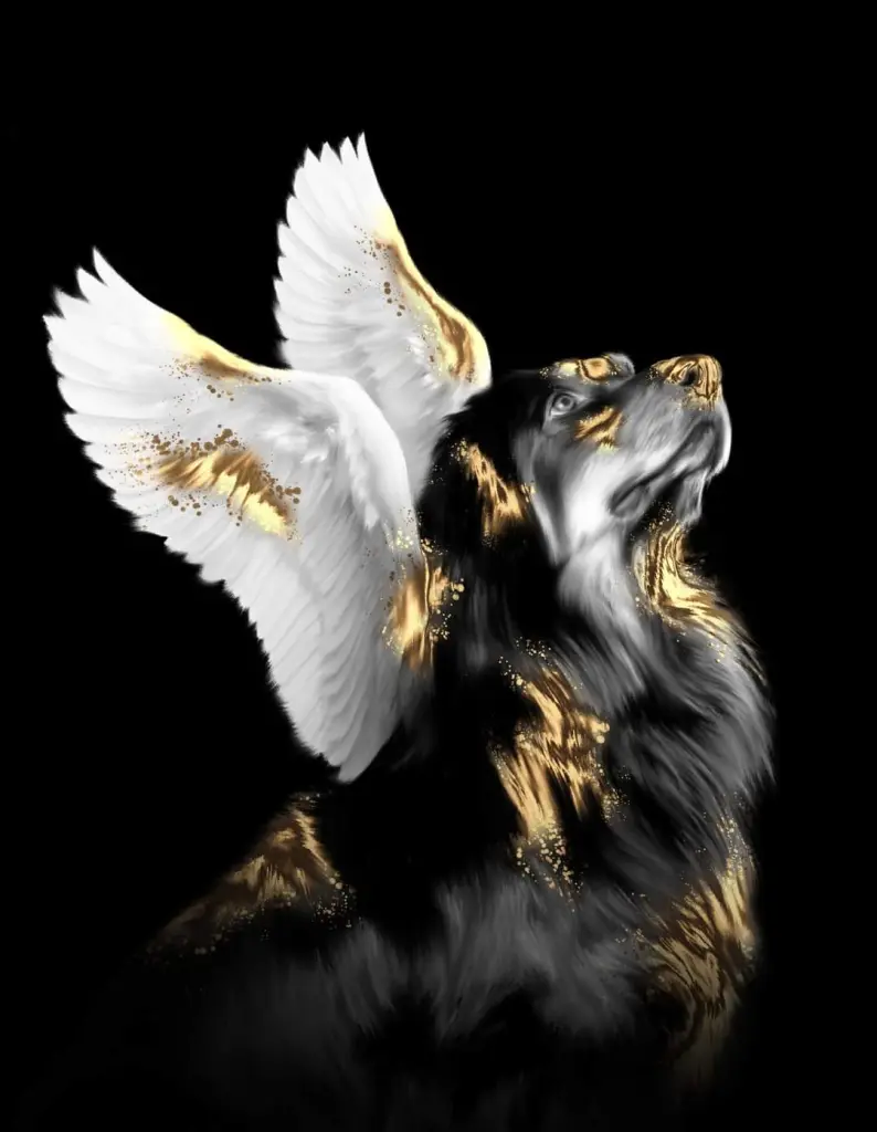 Condolence image of Roland