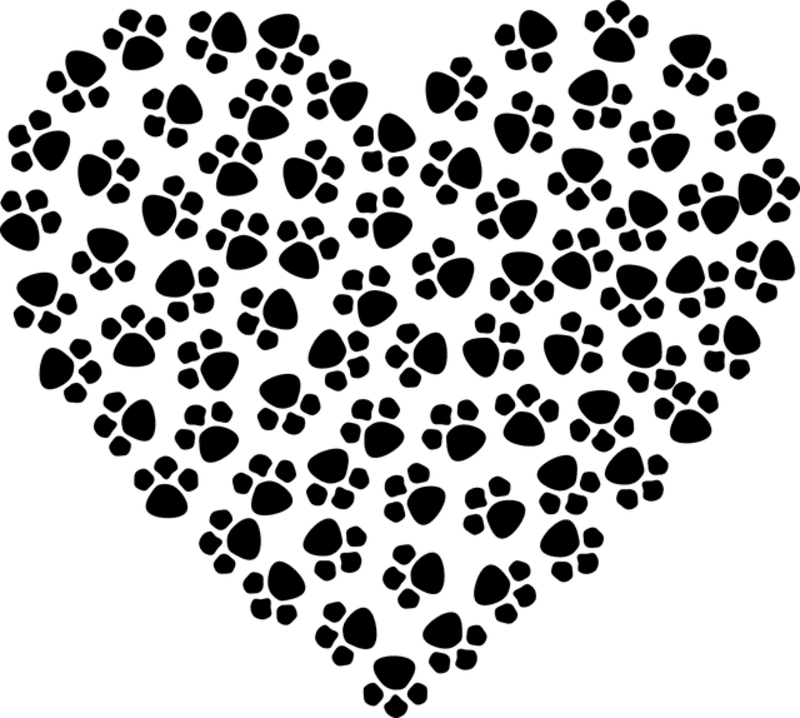 Condolence image of Susanne Zimmermann 