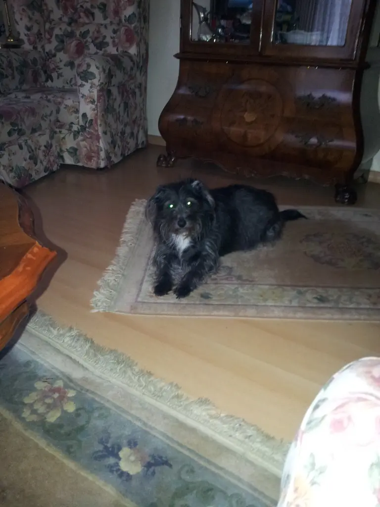 Image from Kessy