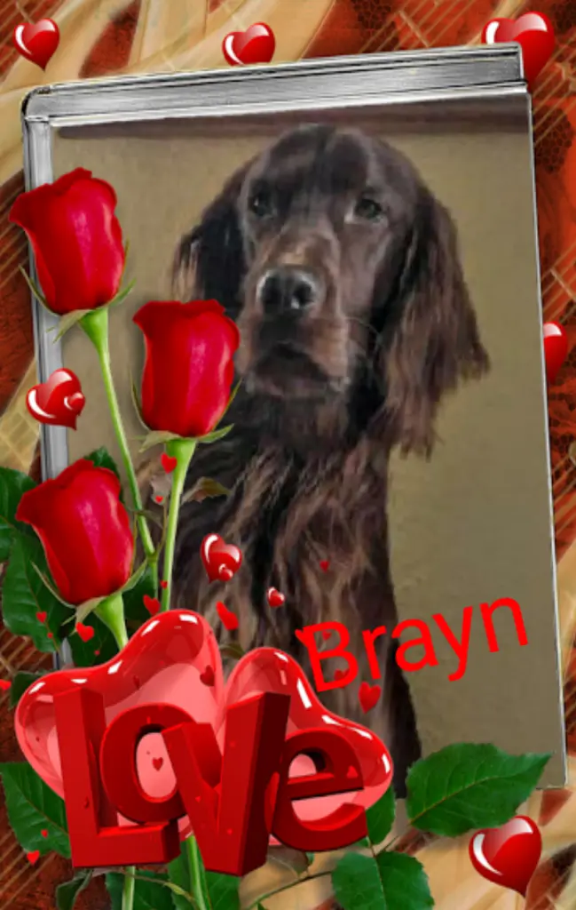 Image from Brayn