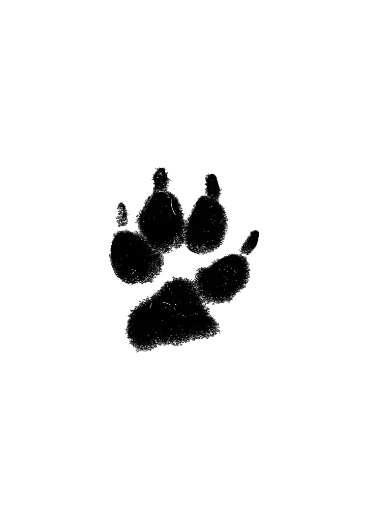Image from Charlie