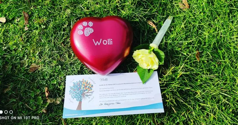 Condolence image of Christine mit Wolli im Herzen!