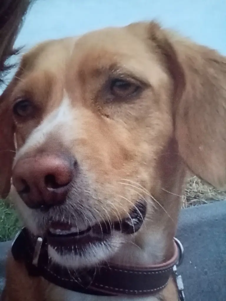 Condolence image of Bianca