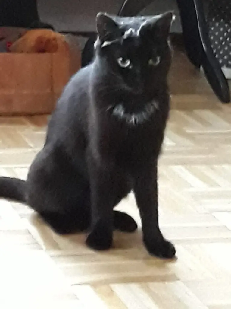 Image from Freya