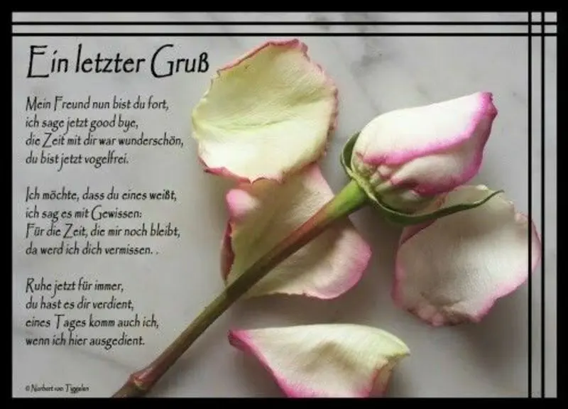 Andachtsbild von Andrea mit Minki im ❤ gest.19.10.2020