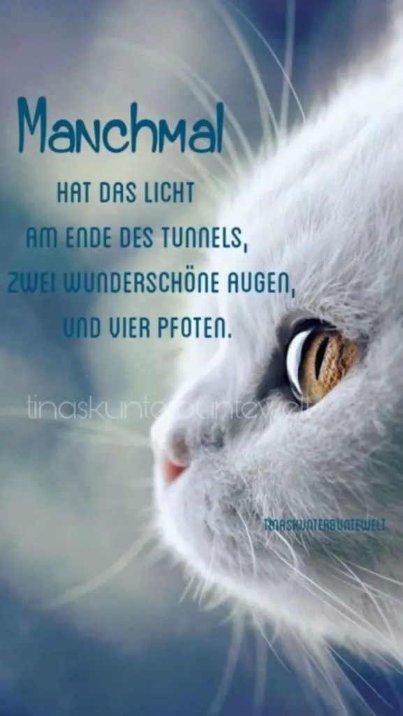 Andachtsbild von Katrin und Katzi im ❤️