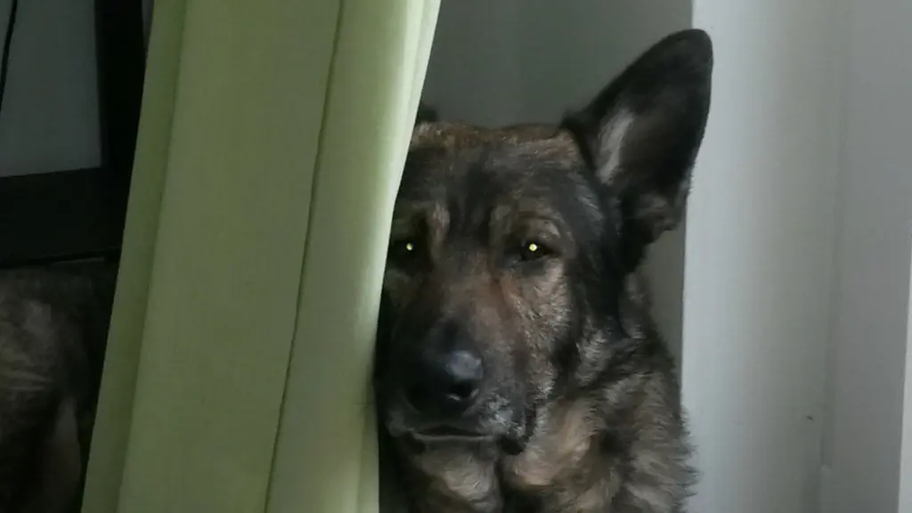 Condolence image of Marc