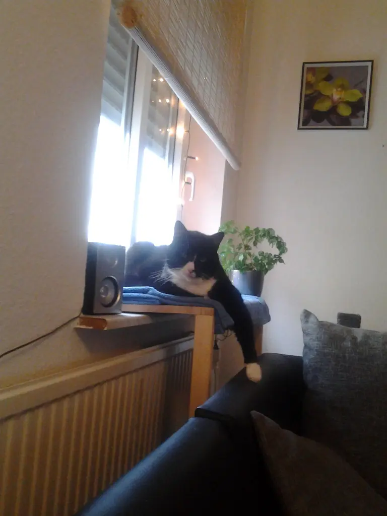 Image from Tschuma