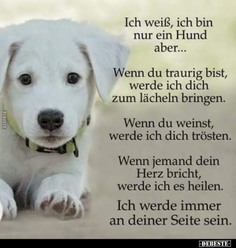 Condolence image of Jutta mit Flash im Herzen 17.01.20