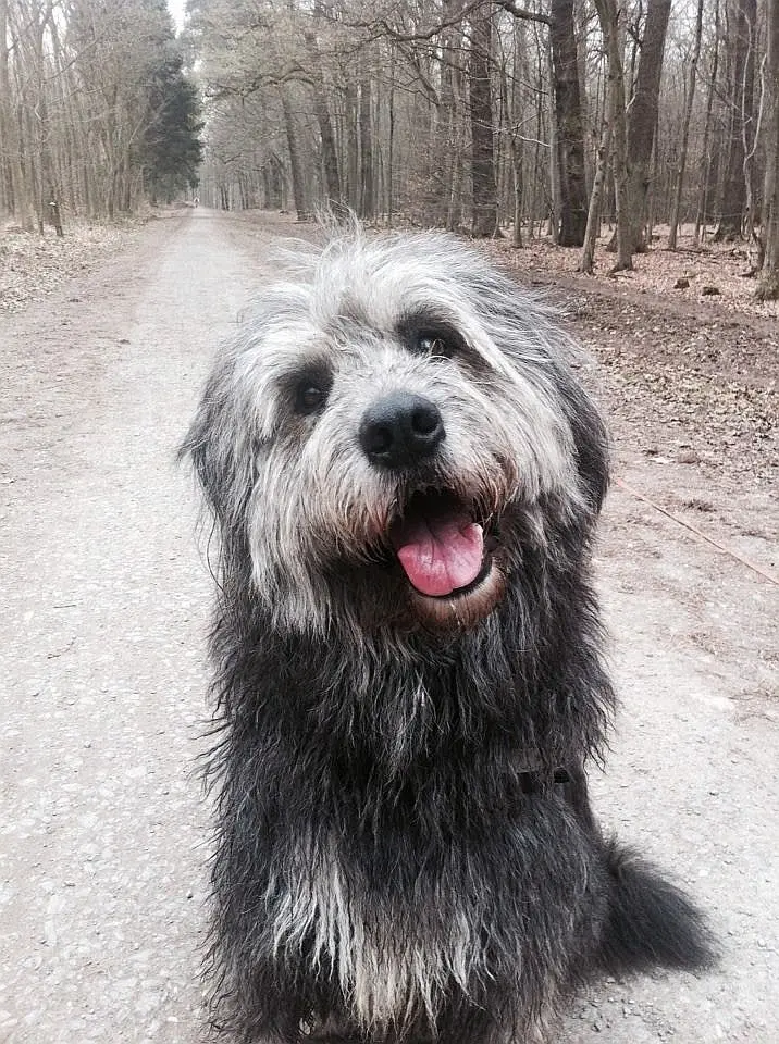 Image from BamBam