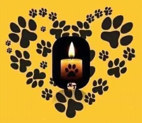 Condolence image of Conny