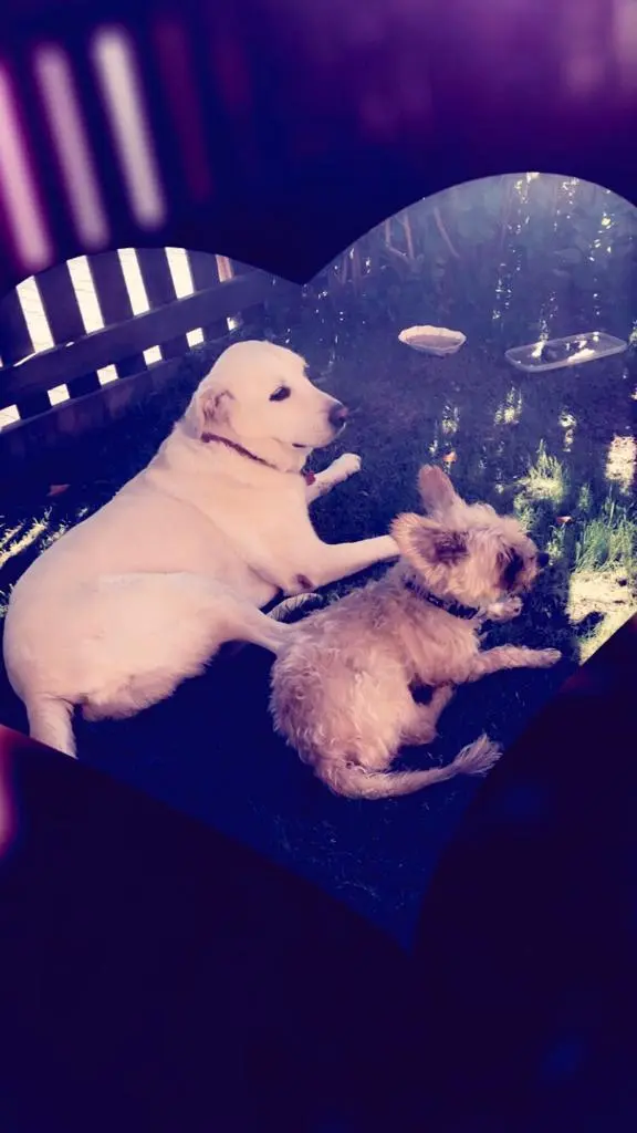 Image from Lucky