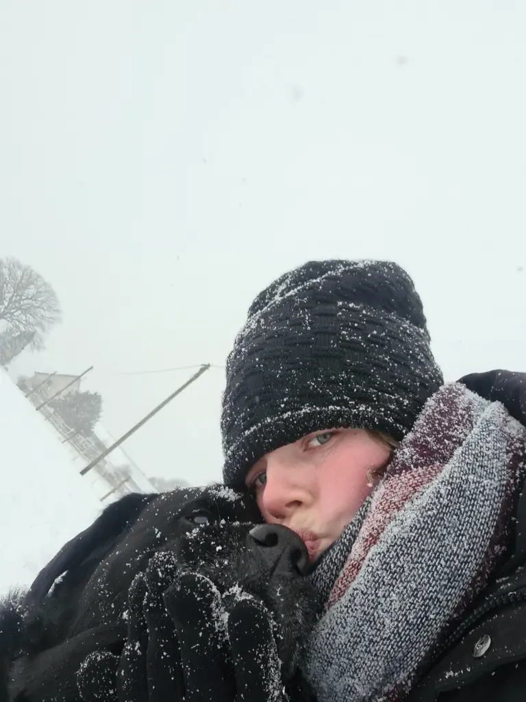 Image from Jaro