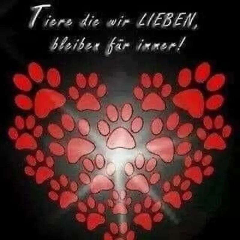 Condolence image of Silvia Thiedicke