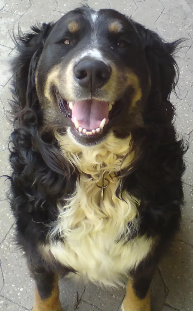Bild von Theo