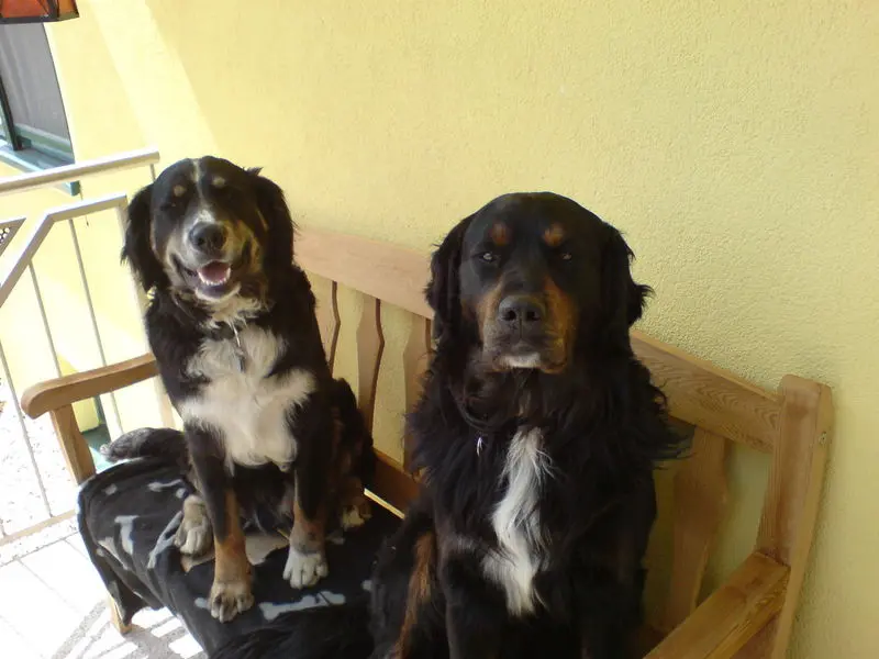 Bild von Theo