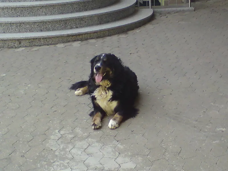 Bild von Theo
