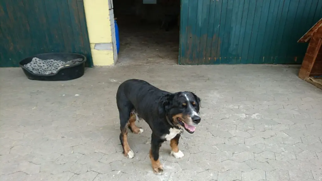 Bild von Theo
