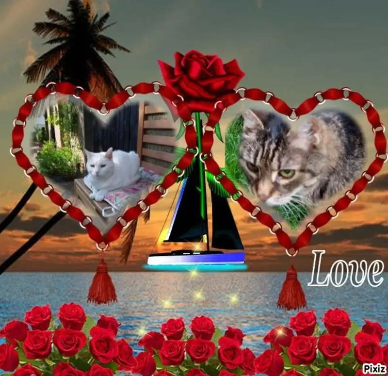 Condolence image of Jeannette mit Sisi und Lissy im ❤️