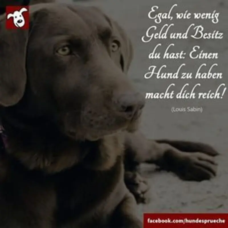 Condolence image of Jutta mit Flash im Herzen 17.01.20