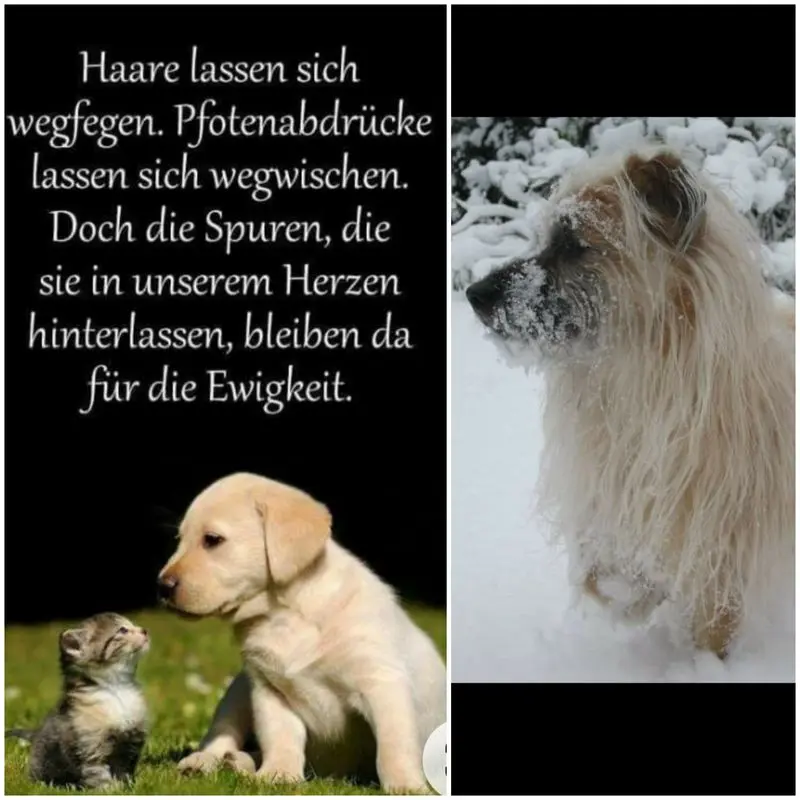Condolence image of Martina und Michael