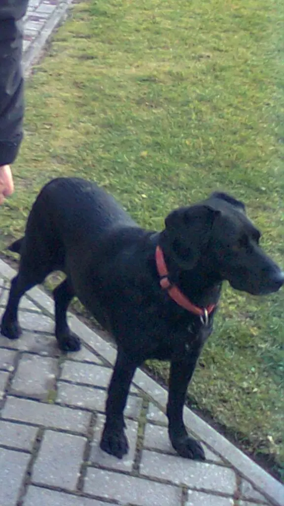 Condolence image of Inge