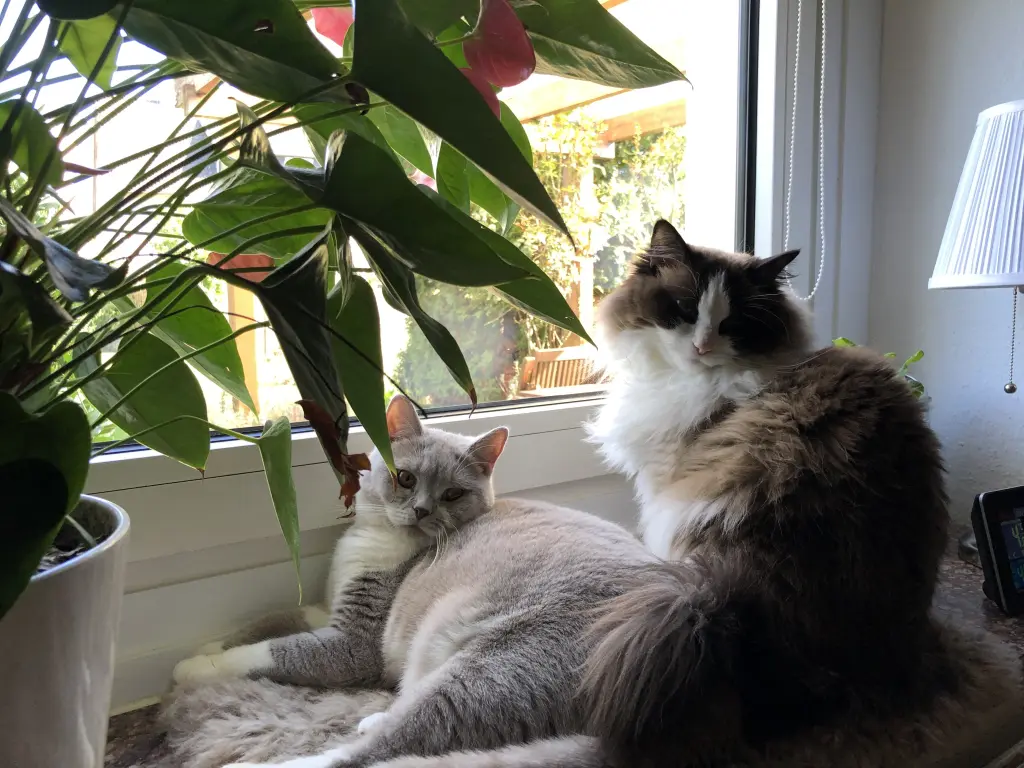 Image from Marlou