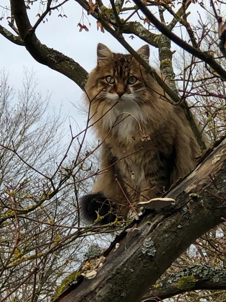 Condolence image of Unbekannt