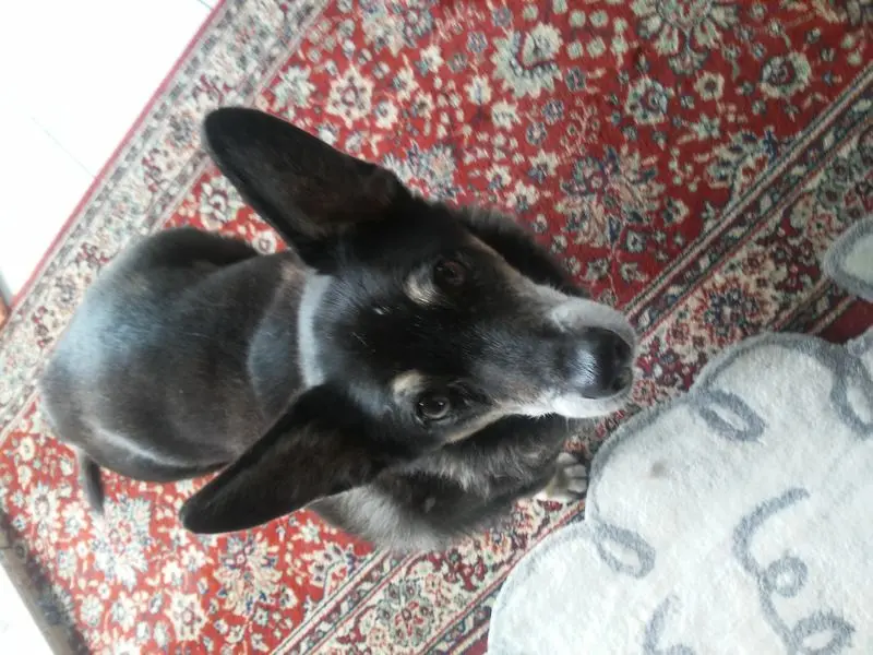 Condolence image of Sabine