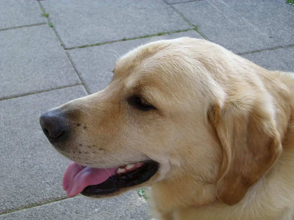 Condolence image of Anita Biechele