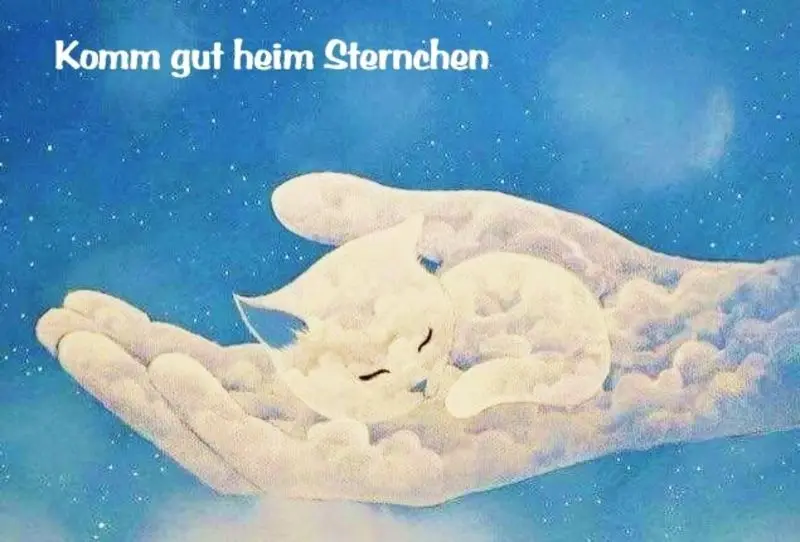 Condolence image of Unbekannt