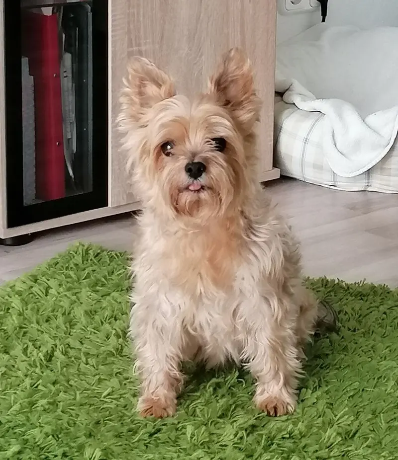 Condolence image of Marvin