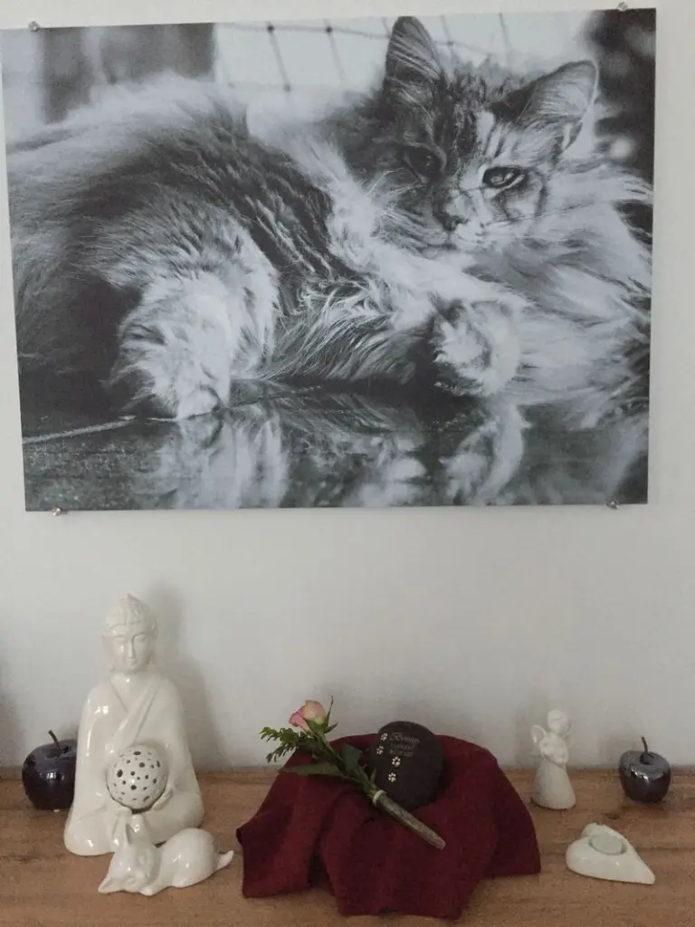 Condolence image of Regina 
