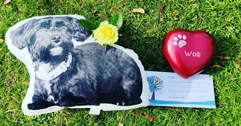 Condolence image of Christine mit Wolli im Herzen