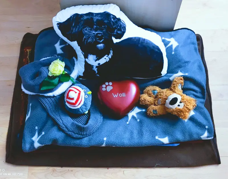 Condolence image of Christine mit Wolli im Herzen! ❤️
