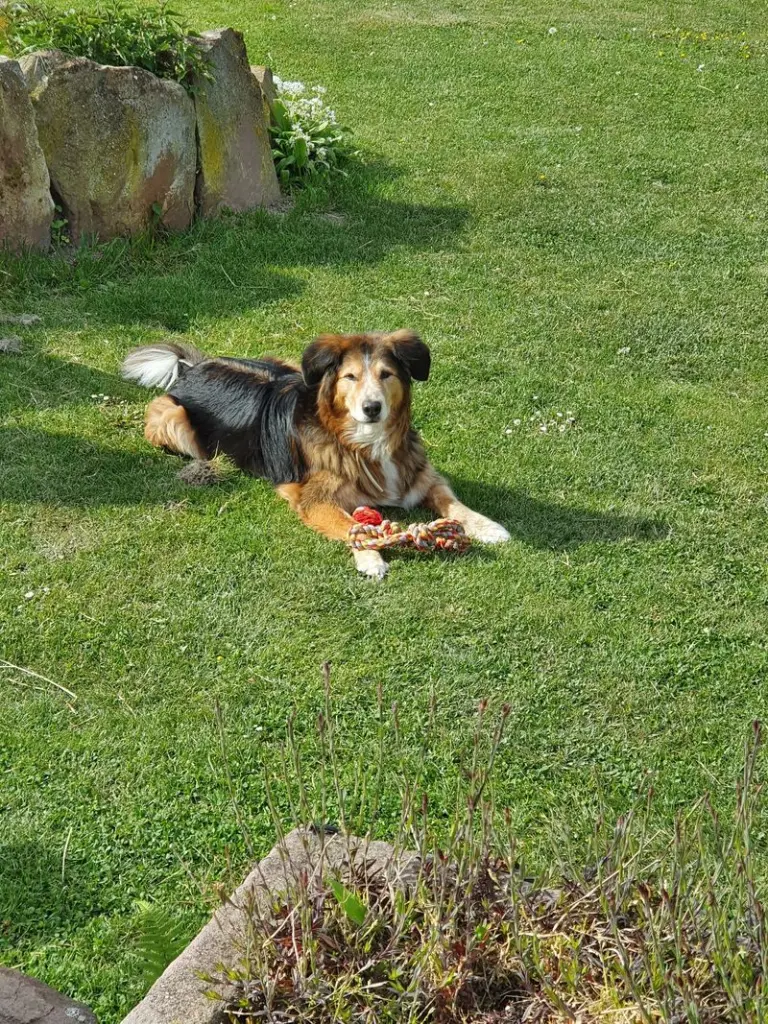 Andachtsbild von Bärbel