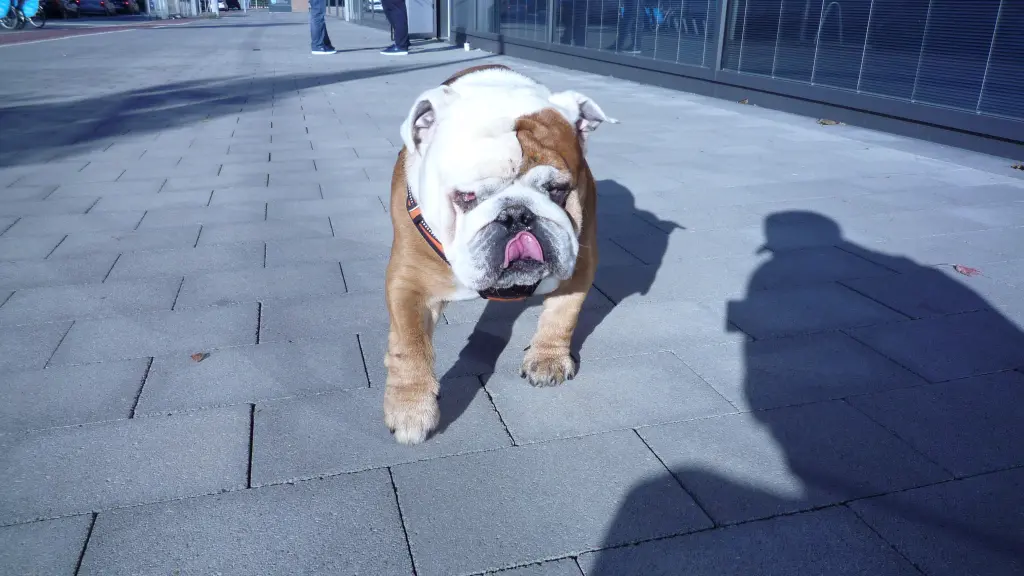 Image from Rufus