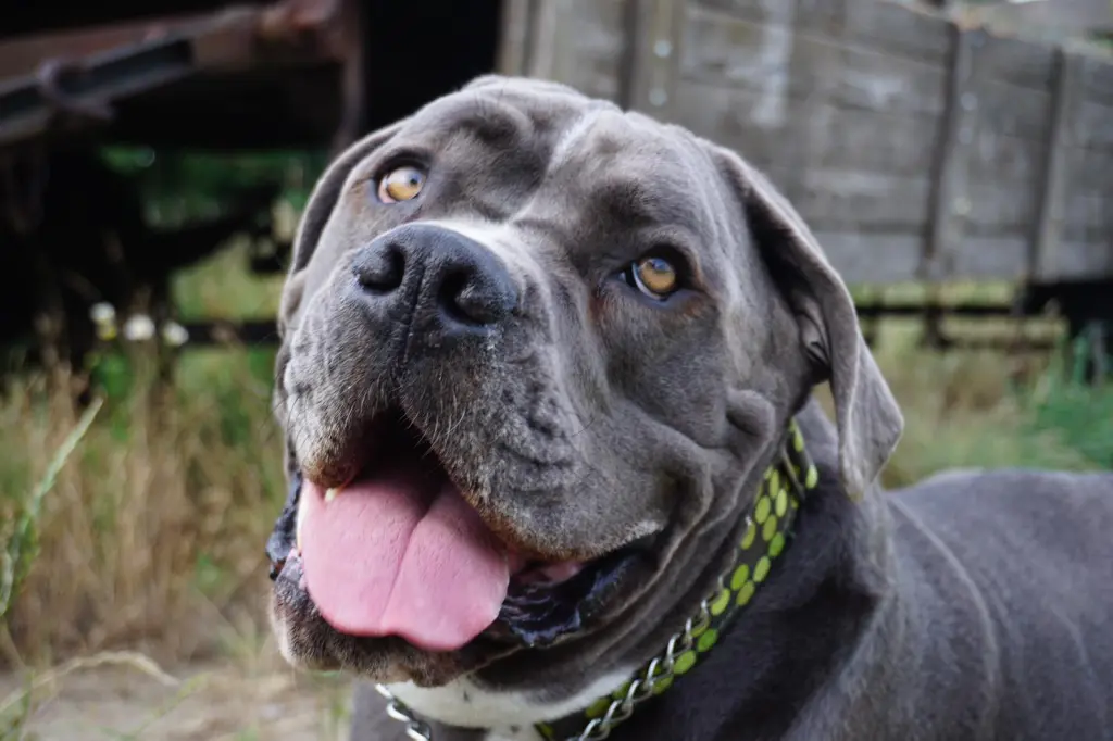 Bild von Apollo