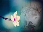 Condolence image of Allyson Bowden