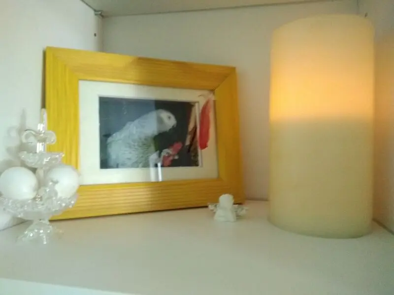 Condolence image of Allyson Bowden