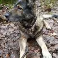 Condolence image of Karin mit Donna(wetter) im ❤️